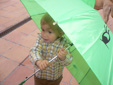 Ir a  ver las fotos grandes